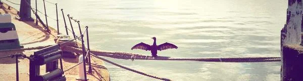 Trust and verification - LegitScript and state board verified